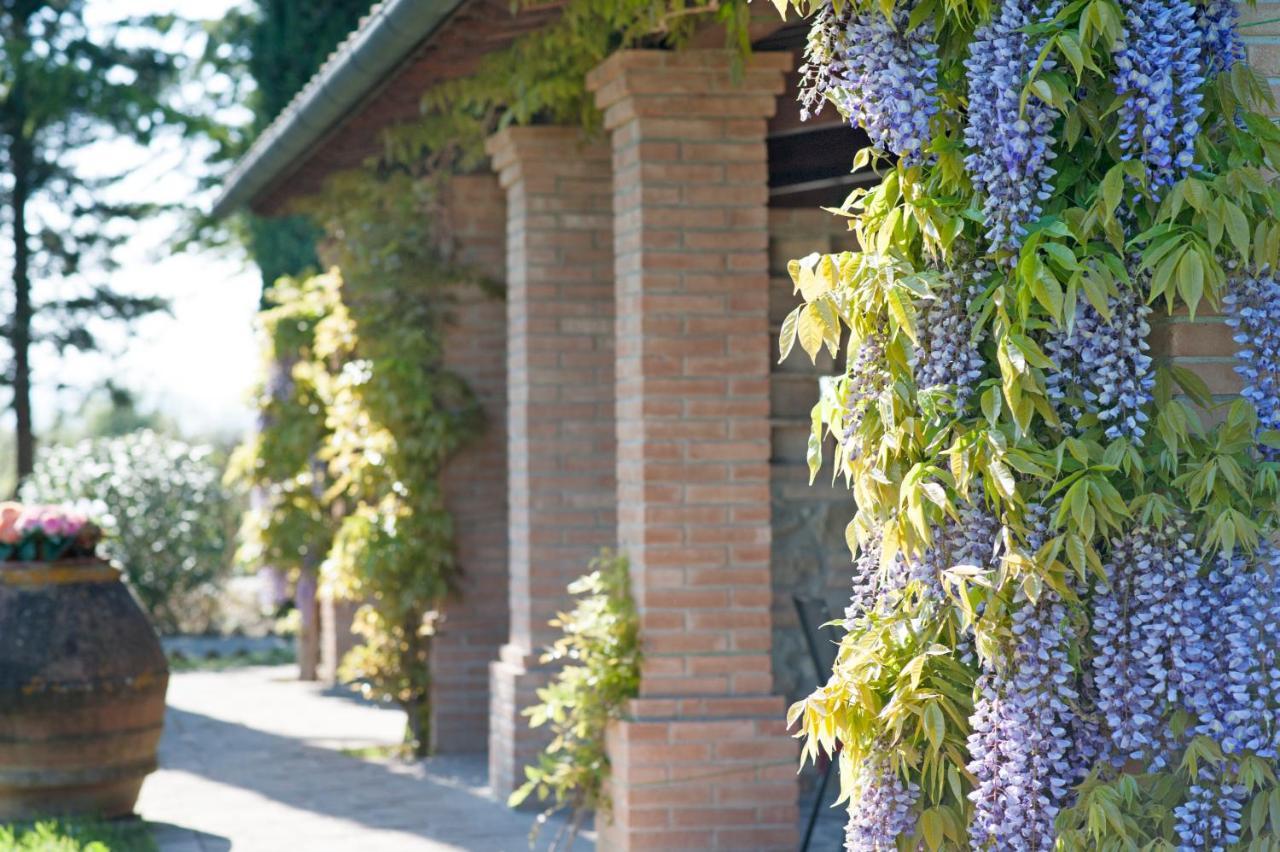 Agriturismo Canale Peccioli Zewnętrze zdjęcie